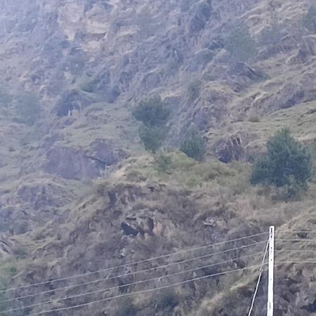 Tirthan Hilltop Home Stay Banjār Esterno foto
