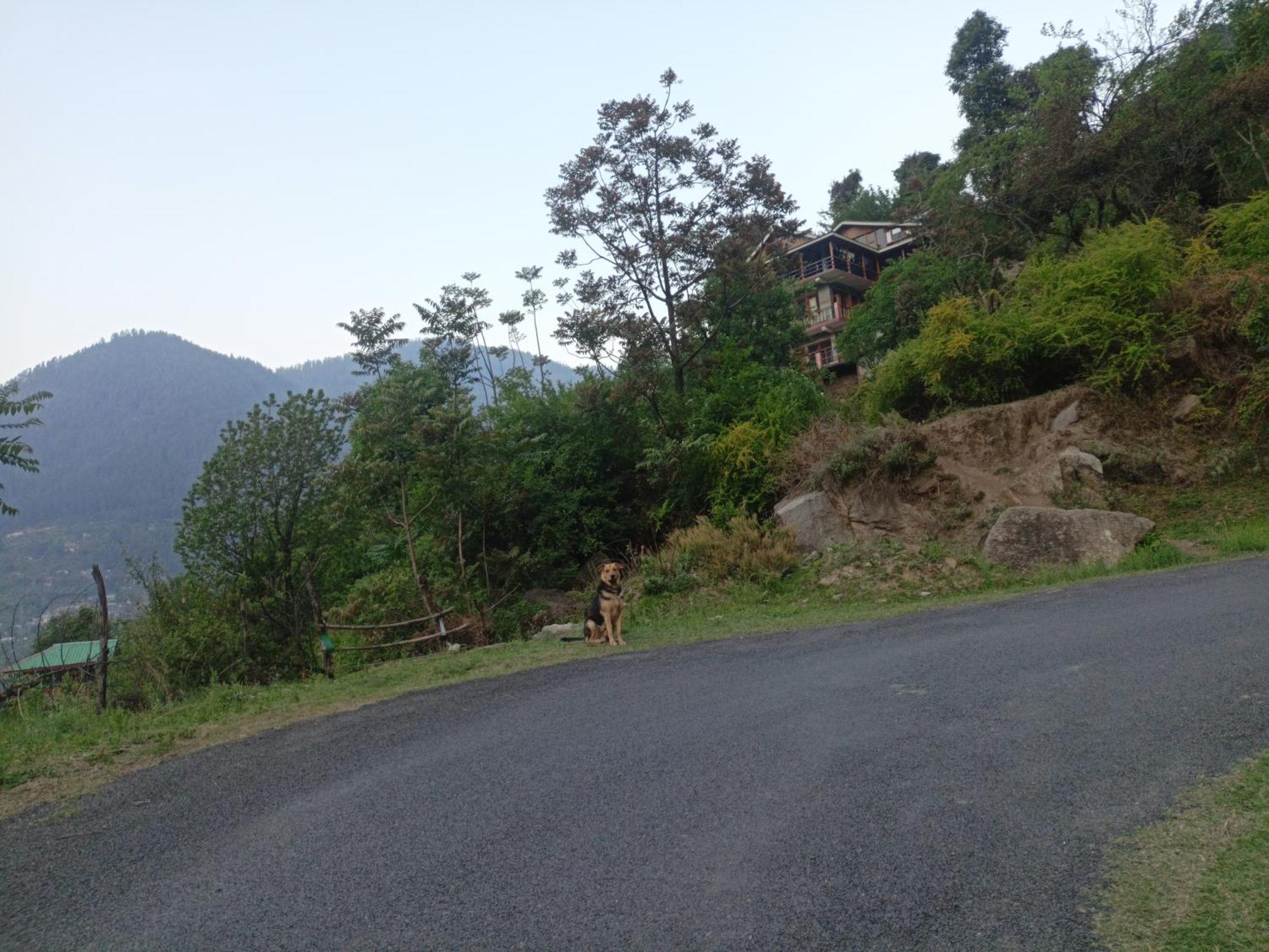 Tirthan Hilltop Home Stay Banjār Esterno foto
