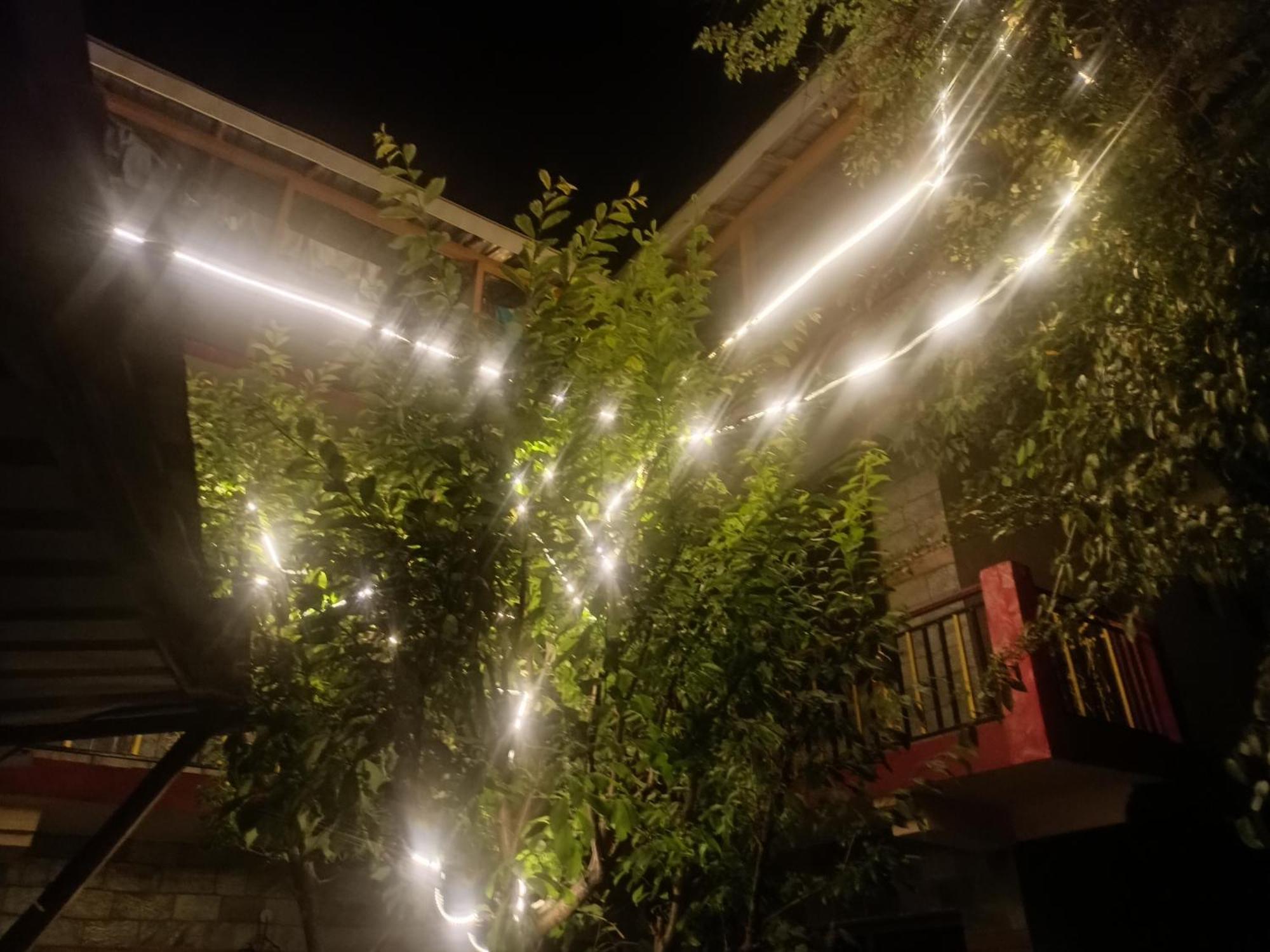 Tirthan Hilltop Home Stay Banjār Esterno foto