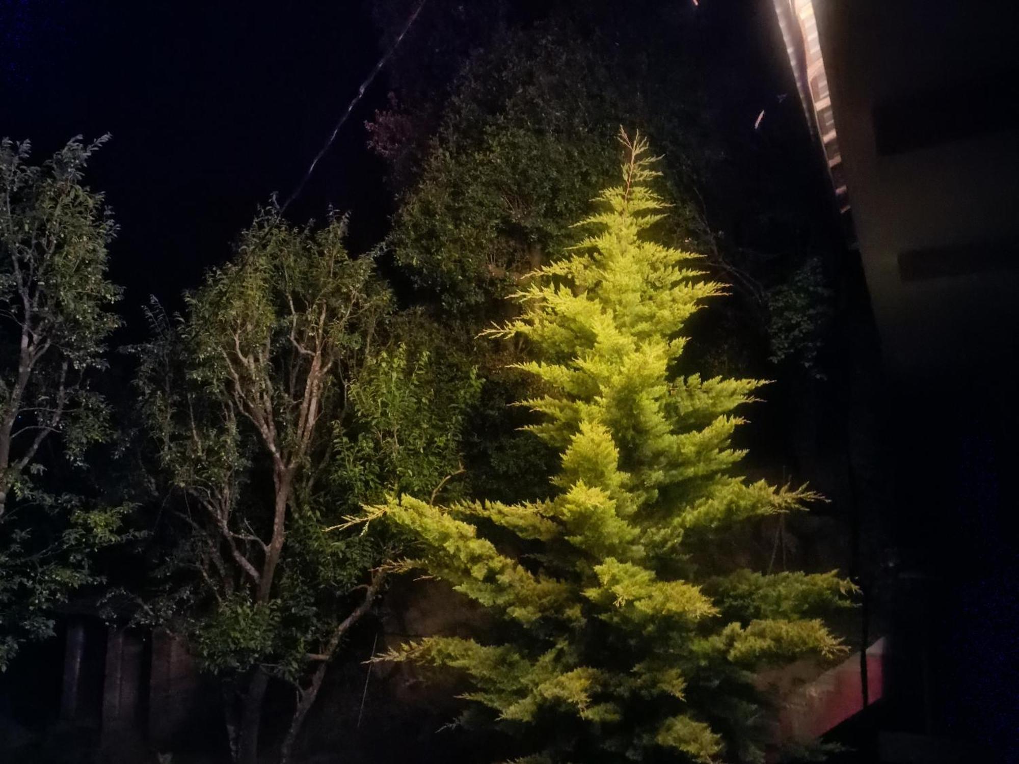 Tirthan Hilltop Home Stay Banjār Esterno foto